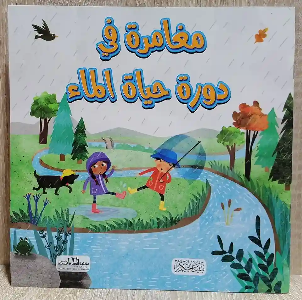 مغامرة في دورة حياة الماء