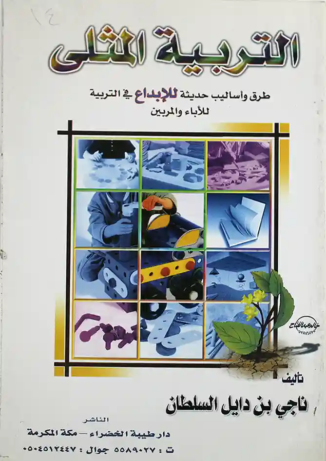 التربية المثلى