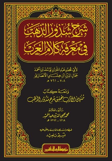 شرح شذور الذهب في معرفة كلام العرب