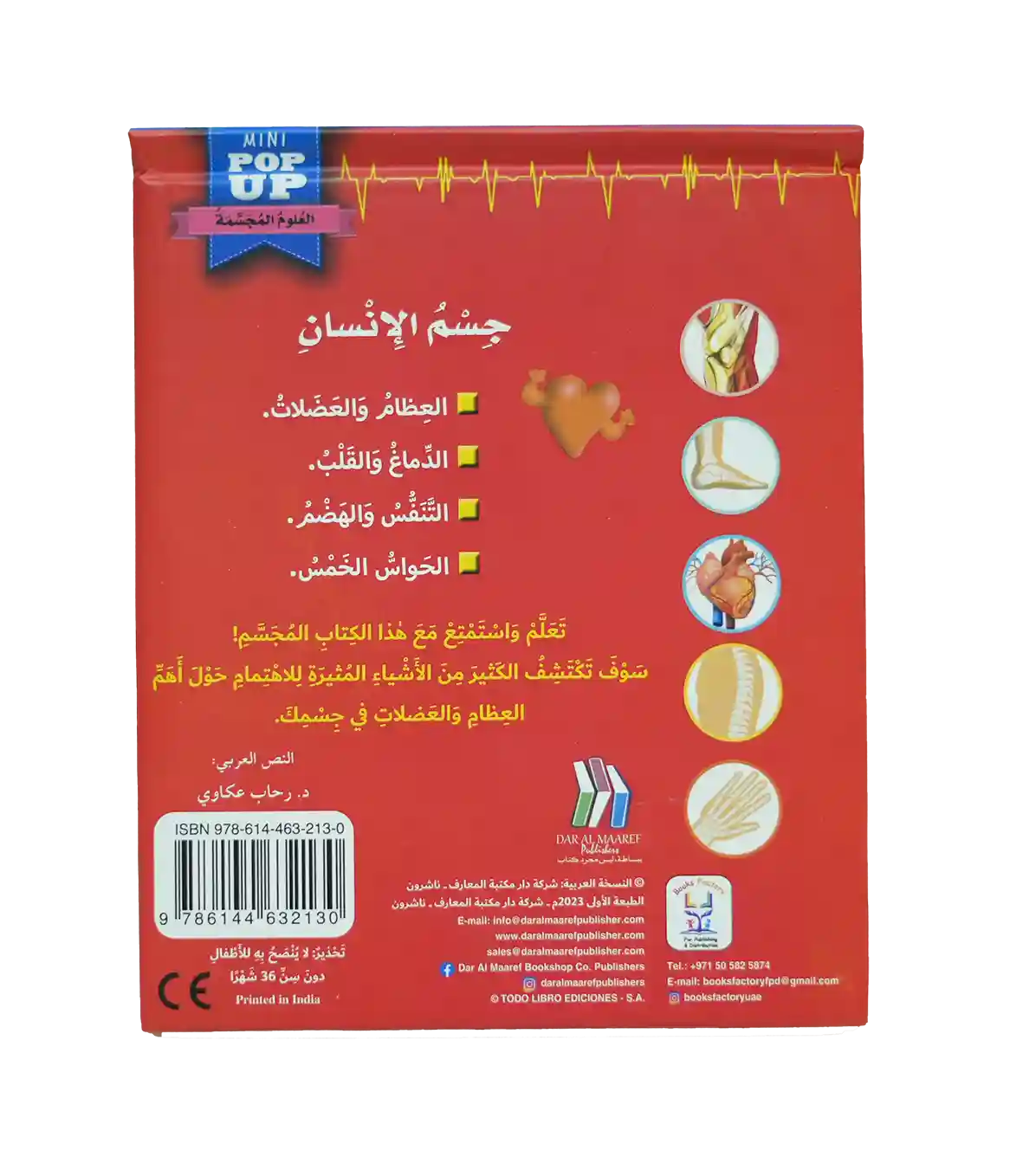 جسم الإنسان العلوم المجسمة - العظام والعضلات