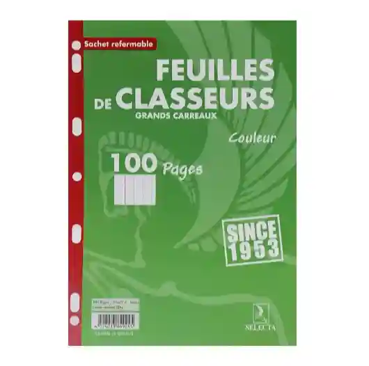 FEUILLES DE CLASSEUR 100 PAGE