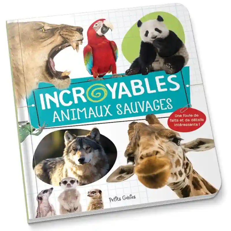 incroyables animaux souvages