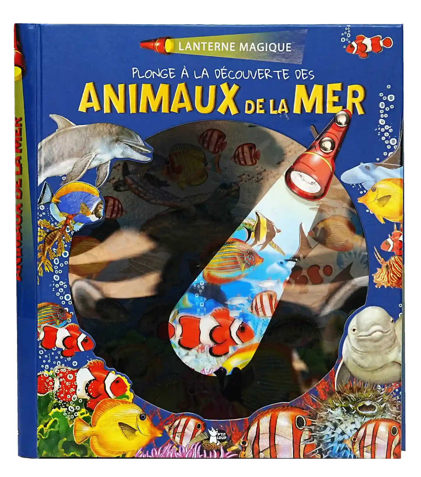Lanterne magique - animaux de la mer