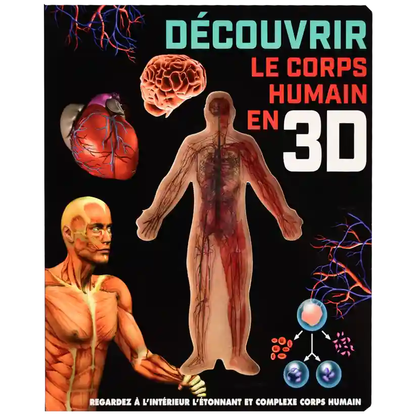 Decouvrir Le Corps Human En 3D