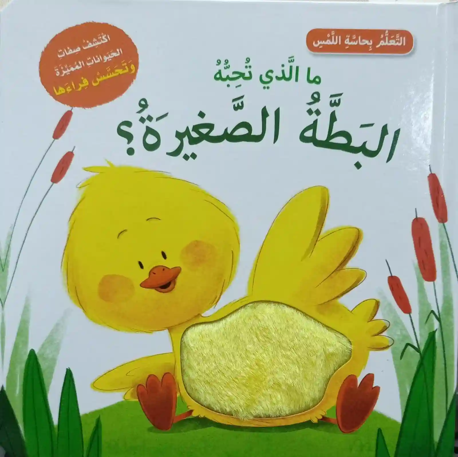 ما الذي تحبه البطة الصغيرة