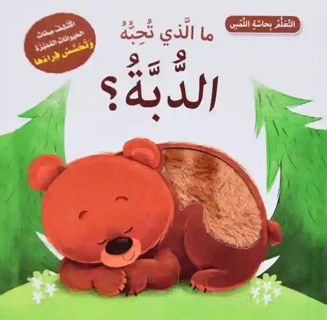 ما الذي تحبه الدبة
