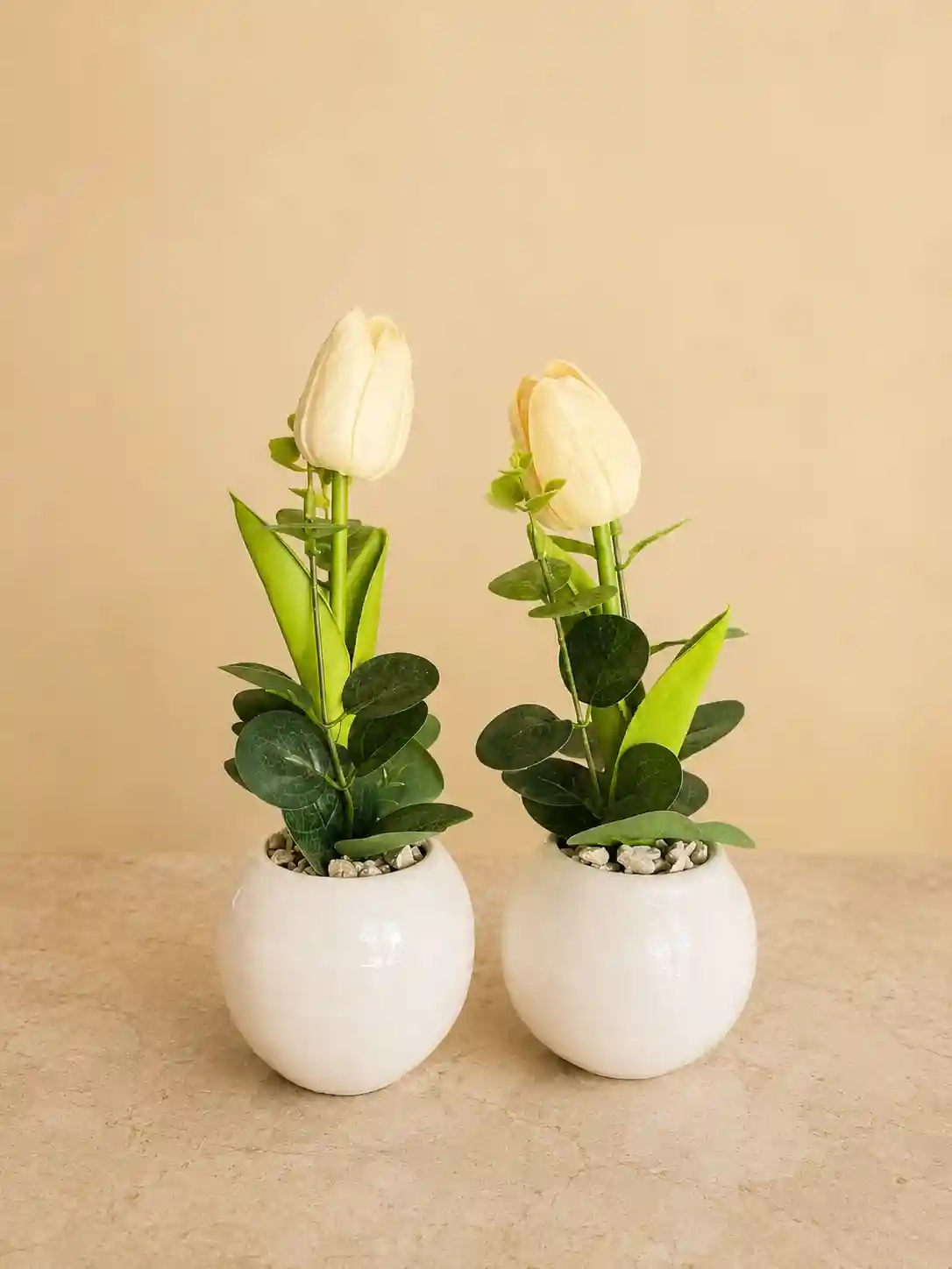 TULIP
