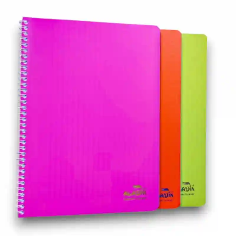 CAHIER 200P WIRO GF ALADIN