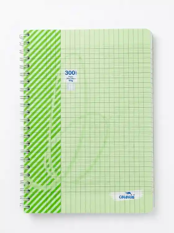 CAHIER 300P WIRO COLORIS 60G