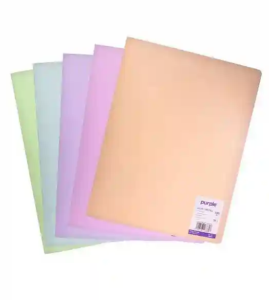 PORTFOLIO 100 VUES PASTEL