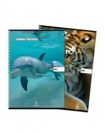 cahier tp 10 10 speed