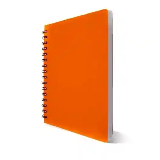 CAHIER 300P WIRO HPS