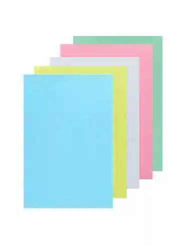 FICHE BRISTOL ASSORTIE PM 100F