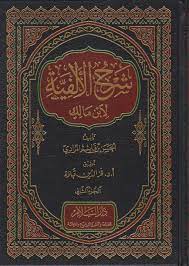 شرح الألفية لابن مالك 1/2