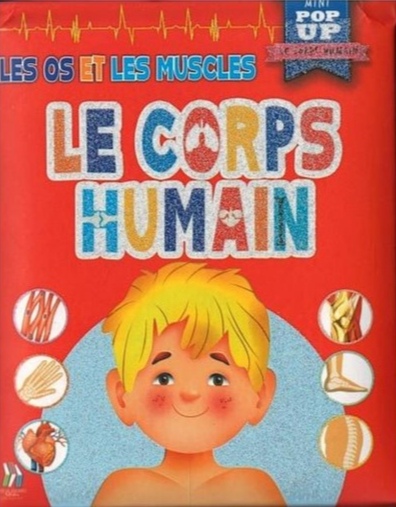 Le Corps Humain - Les Os Et Les Muscles
