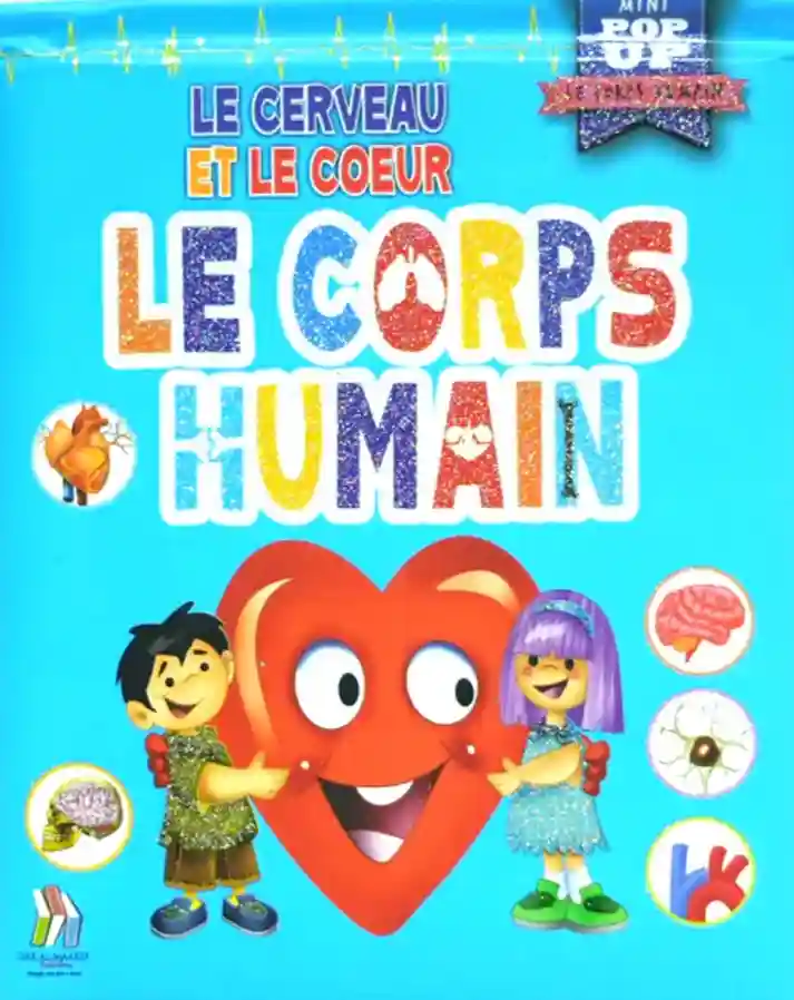 Le Corps Humain - Le Cerveau Et Le Coeur