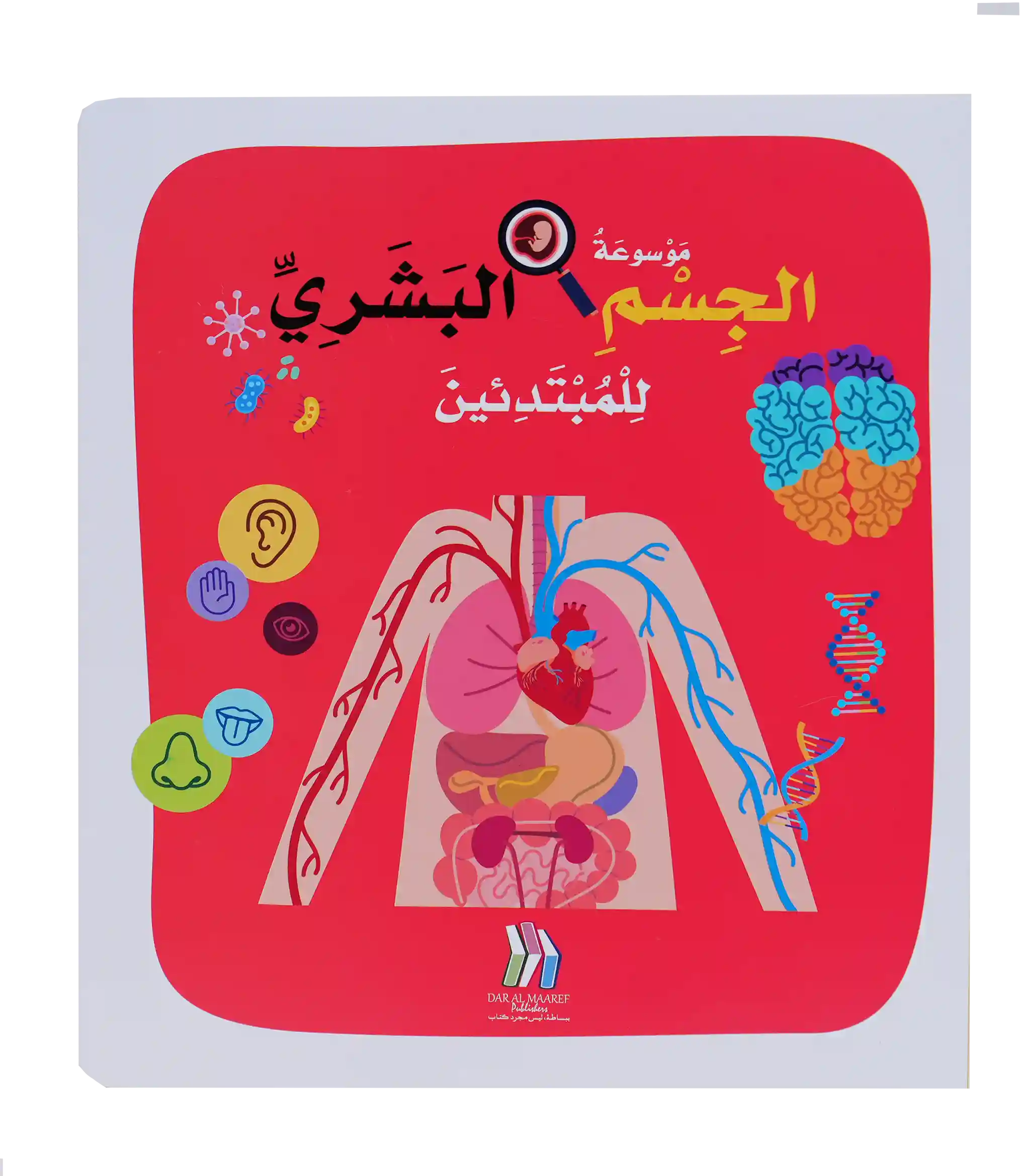 Soft Cover - موسوعة الجسم البشري للمبتدئين