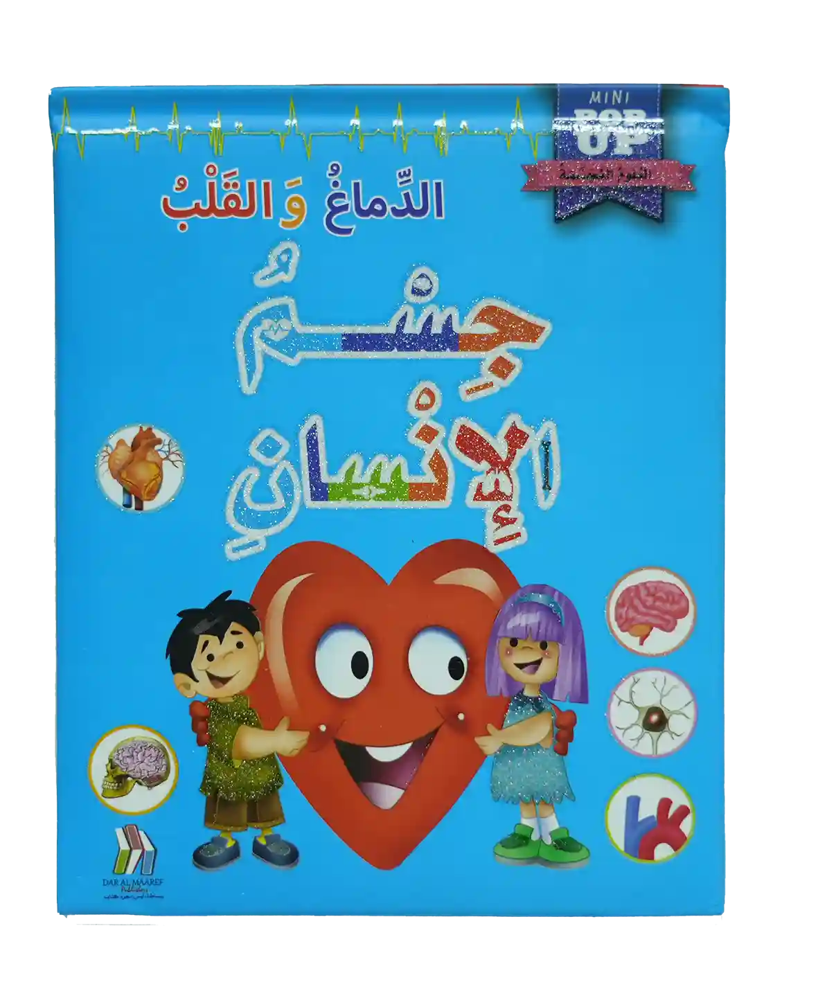 جسم الإنسان العلوم المجسمة - الدماغ والقلب