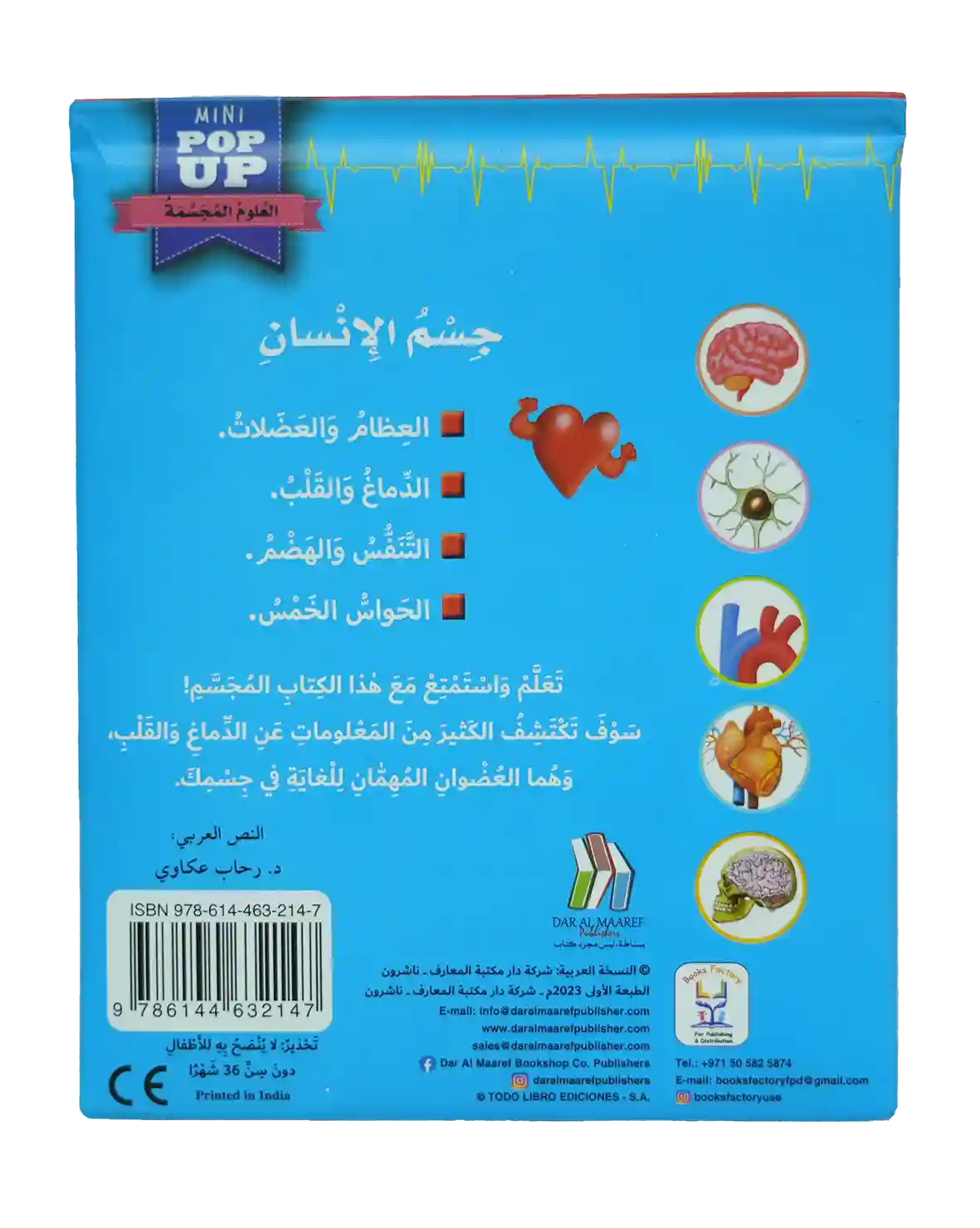 جسم الإنسان العلوم المجسمة - الدماغ والقلب