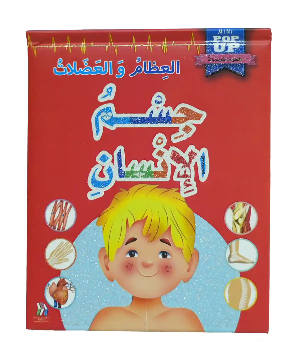 جسم الإنسان العلوم المجسمة - العظام والعضلات