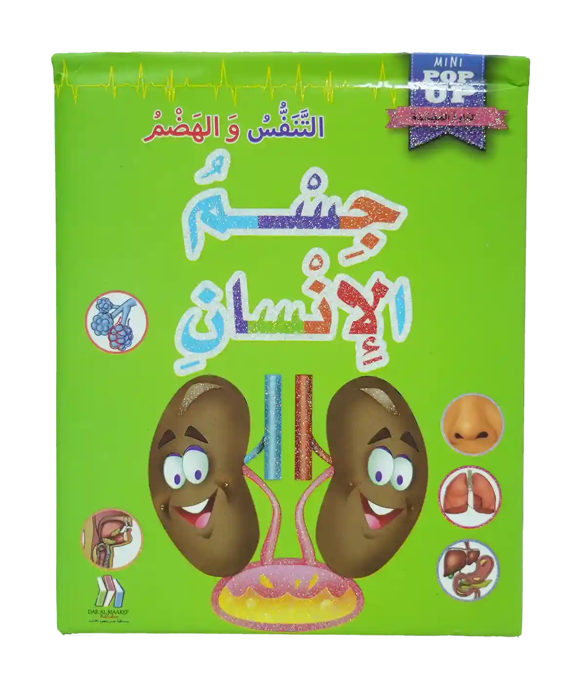 جسم الإنسان العلوم المجسمة - التنفس والهضم