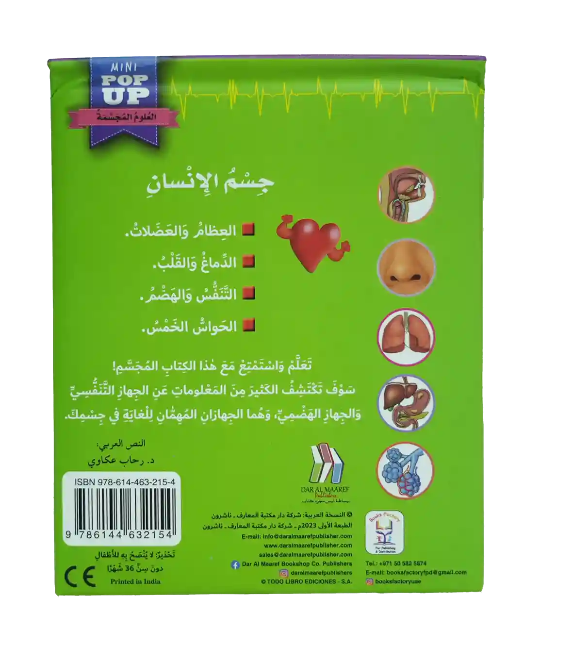 جسم الإنسان العلوم المجسمة - التنفس والهضم